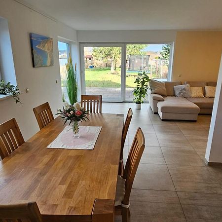 Sehr Schoenes Und Grosses Haus In Dresden - Partys Und Andere Feierlichkeiten Sind Wegen Eventueller Laermbelaestigung Nicht Gestattet 외부 사진